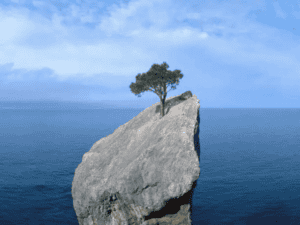 persona resiliente