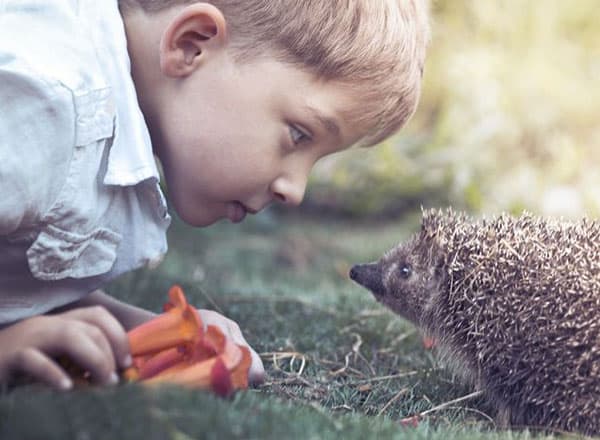 bambino che guarda con curiosità e meraviglia un riccio