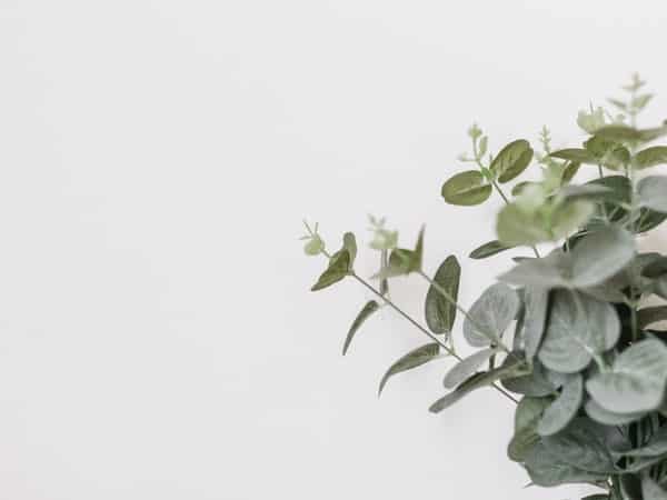a cosa serve la psicoterapia nella vita quotidiana